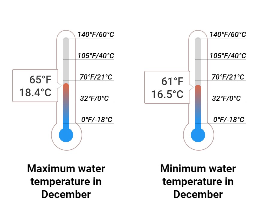 Average Sea temperature